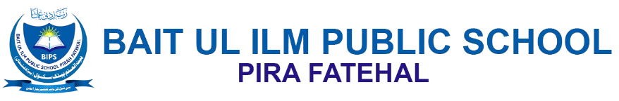 BAIT UL ILM PUBLIC SCHOOL